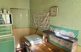 Casă de vânzare în centrul Pâncota cu magazin și dependințe.