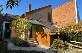 Casă de vânzare în centrul Pâncota cu magazin și dependințe.