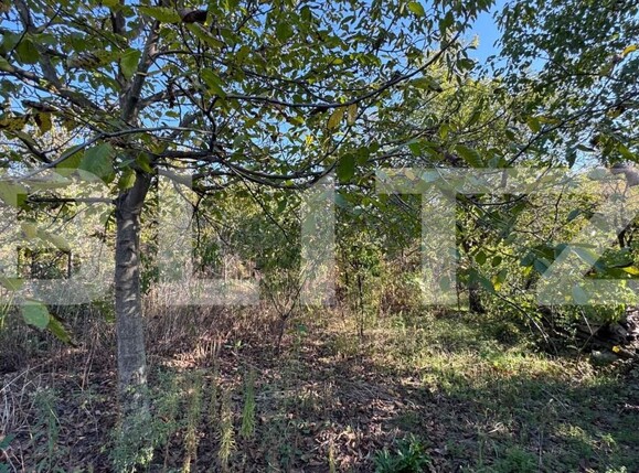 Casa de vânzare 5 camere Exterior Est - 172250CV | BLITZ Arad | Poza22