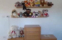 Blitz va ofera spre vanzare casa cu 3 camere in Curtici