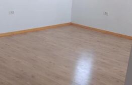 Blitz va ofera spre vanzare casa noua in Sanleani constructie 2024