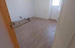 Blitz va ofera spre vanzare casa noua in Sanleani constructie 2024