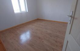 Blitz va ofera spre vanzare casa noua in Sanleani constructie 2024