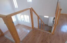 Blitz va ofera spre vanzare casa noua in Sanleani constructie 2024