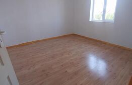 Blitz va ofera spre vanzare casa noua in Sanleani constructie 2024