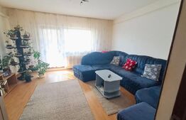 Apartament cu 4 camere, 2 băi, 2 balcoane, Miorița, spațios și luminos