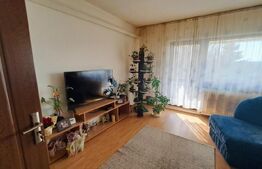Apartament cu 4 camere, 2 băi, 2 balcoane, Miorița, spațios și luminos