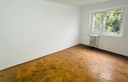 Apartament spațios, in bloc reabilitat, 2 camere, Zona Lebăda, Arad
