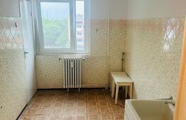 Apartament spațios, in bloc reabilitat, 2 camere, Zona Lebăda, Arad