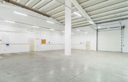 Hală industrială de închiriat – 1.250 mp