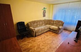 Apartament cu 2 camere, Micalaca, investitie sigura!