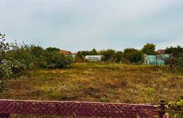 Casa de vanzare in Macea, teren 942 mp