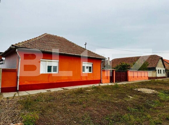 Casa de vânzare 3 camere Macea - 180357CV | BLITZ Arad | Poza3