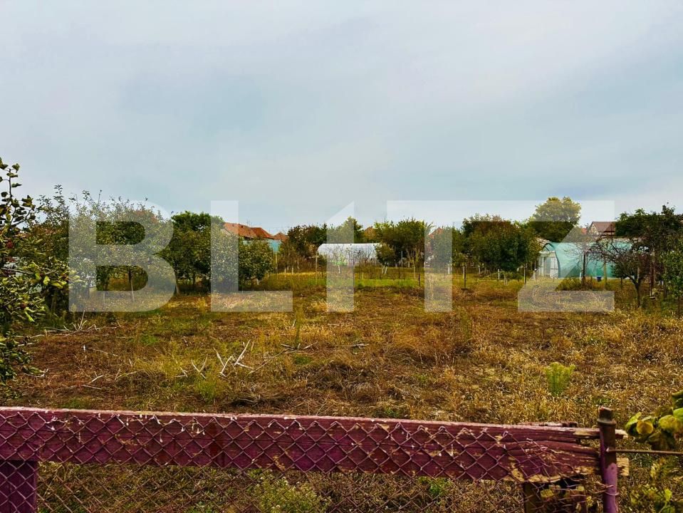 Casa de vânzare 3 camere Macea - 180357CV | BLITZ Arad | Poza5