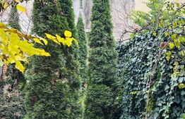 Spatiu generos in centrul Aradului, 180mp utili, investitie ideala