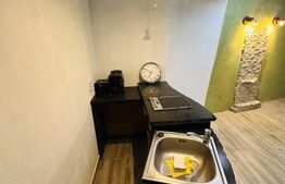 Spatiu generos in centrul Aradului, 180mp utili, investitie ideala