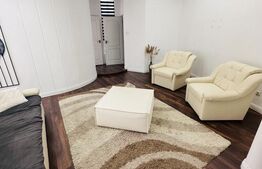 Spatiu generos in centrul Aradului, 180mp utili, investitie ideala