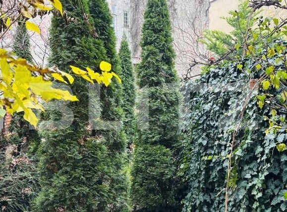 Apartament de vânzare 4+ camere Central - 182225AV | BLITZ Arad | Poza2