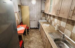Apartament de investitie! Doua camere pe strada Poetului
