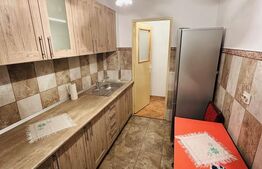 Apartament de investitie! Doua camere pe strada Poetului