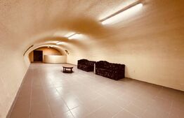 Casa spatioasa cu 5 dormitoare, doua bucatarii si teren de 1100 mp