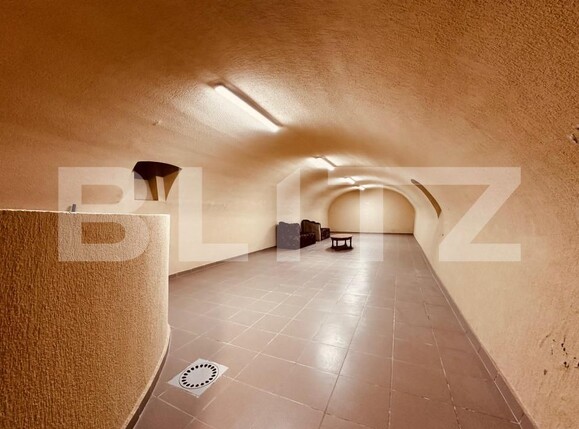 Casa de vânzare 6 camere Vladimirescu - 182631CV | BLITZ Arad | Poza2