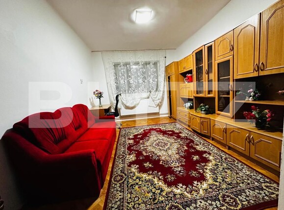 Casa de vânzare 6 camere Vladimirescu - 182631CV | BLITZ Arad | Poza14