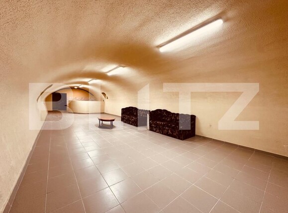 Casa de vânzare 6 camere Vladimirescu - 182631CV | BLITZ Arad | Poza3