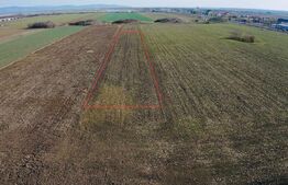 Teren in Vladimirescu, 1600mp + Front stradal generos