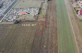 Teren 1000 mp, Oportunitate de Dezvoltare în Vladimirescu