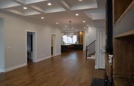 Vilă Exclusivistă în Vladimirescu, Construcție Premium, 1250 mp