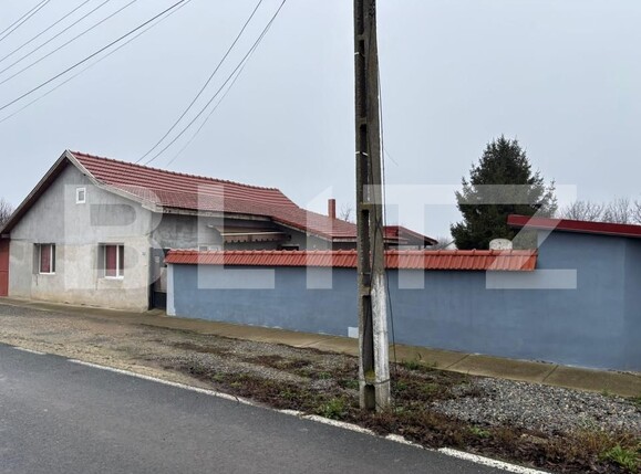 Casa de vânzare 3 camere Iratosu - 184126CV | BLITZ Arad | Poza2