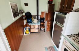 Casă în Arad, strada Andrei Saguna, cartier Pârneava