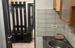 Apartament cu 2 camere ideal pentru locuit, decomandat, zona Lebada - Arad