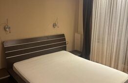 Apartament cu 2 camere ideal pentru locuit, decomandat, zona Lebada - Arad