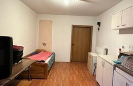 Casa cu teren generos, zona Intim Arad – Ideal rezidential/comercial/service