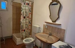 Casa cu teren generos, zona Intim Arad – Ideal rezidential/comercial/service