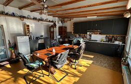 Casa cu teren generos, zona Intim Arad – Ideal rezidential/comercial/service