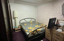 Casa cu teren generos, zona Intim Arad – Ideal rezidential/comercial/service