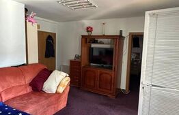 Casa cu teren generos, zona Intim Arad – Ideal rezidential/comercial/service