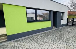 Casa moderna Vladimirescu, potential de personalizare