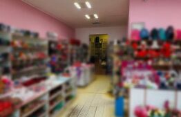 Spațiu comercial in Lipova, Arad – Investiție cu randament si chiriași existenți