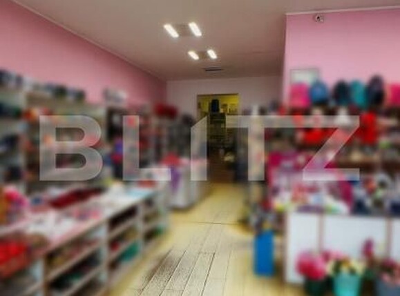 Casa de vânzare 10 camere Lipova - 186518CV | BLITZ Arad | Poza2