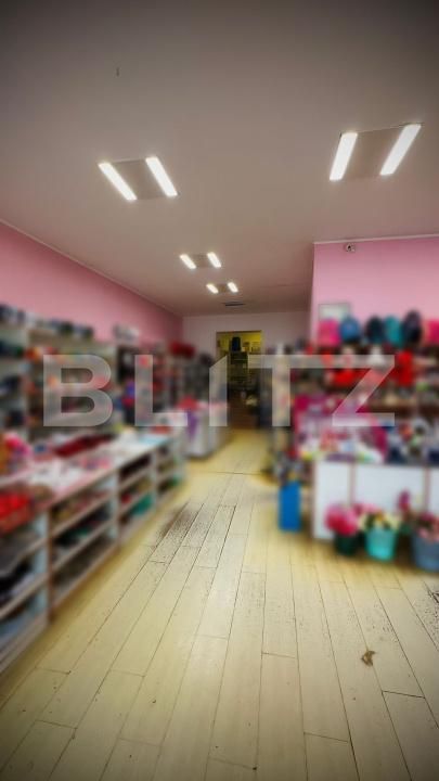 Casa de vânzare 10 camere Lipova - 186518CV | BLITZ Arad | Poza2