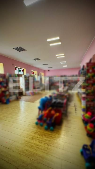 Casa de vânzare 10 camere Lipova - 186518CV | BLITZ Arad | Poza3