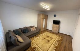 1 camera luminoasa, 36 mp utili, zona Vlaicu