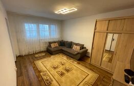 1 camera luminoasa, 36 mp utili, zona Vlaicu