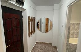 1 camera luminoasa, 36 mp utili, zona Vlaicu