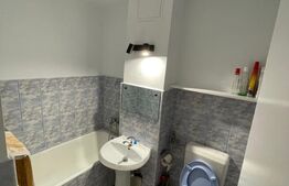 1 camera luminoasa, 36 mp utili, zona Vlaicu