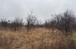 Proprietate de vânzare în Sânpaul – casă + teren mare